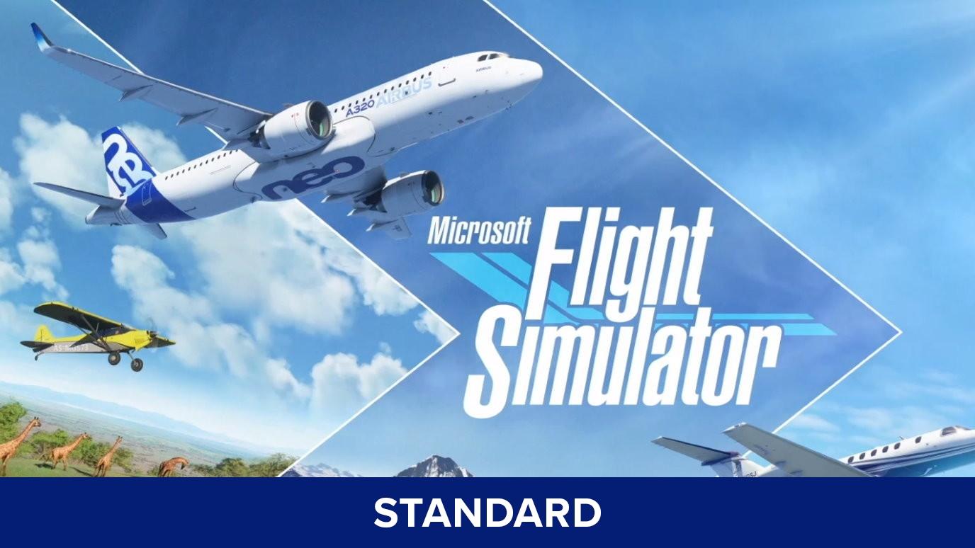 Flight Simulator