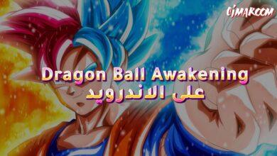 Dragon Ball Awakening