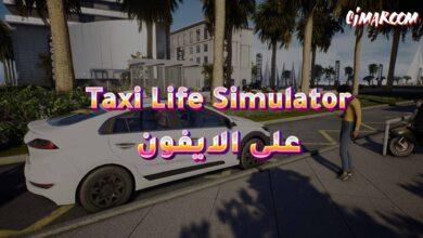 Taxi Life Simulator