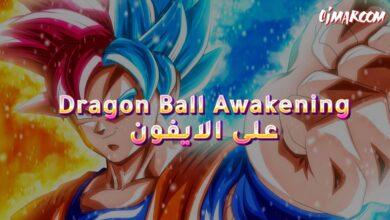 Dragon Ball Awakening