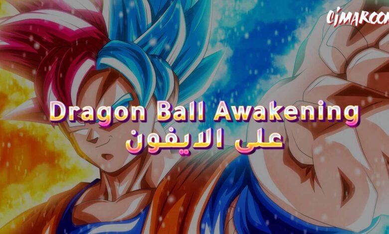 Dragon Ball Awakening