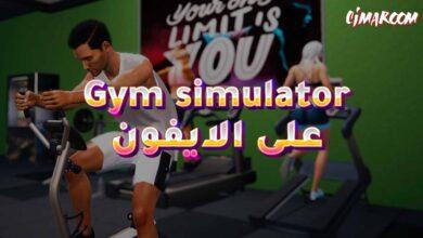 Gym simulator