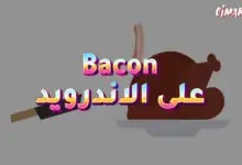 لعبة Bacon على الاندرويد