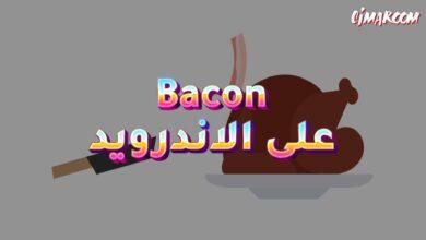 لعبة Bacon على الاندرويد