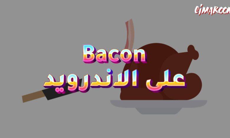 لعبة Bacon على الاندرويد