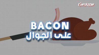 لعبة Bacon على الجوال
