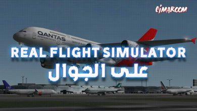 Real Flight Simulator