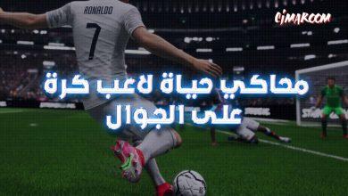 Football Life Simulator
