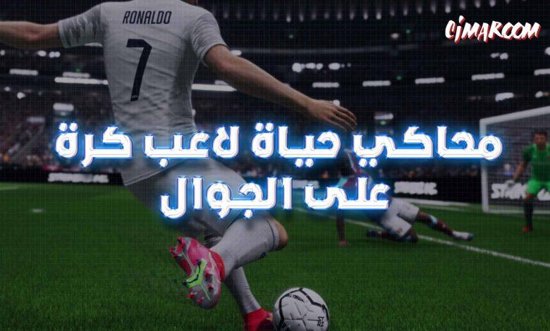 Football Life Simulator
