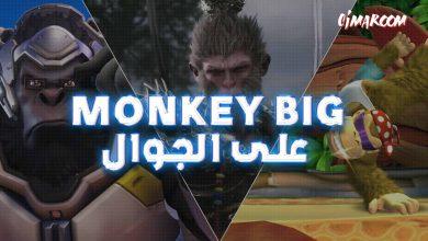 Monkey Big