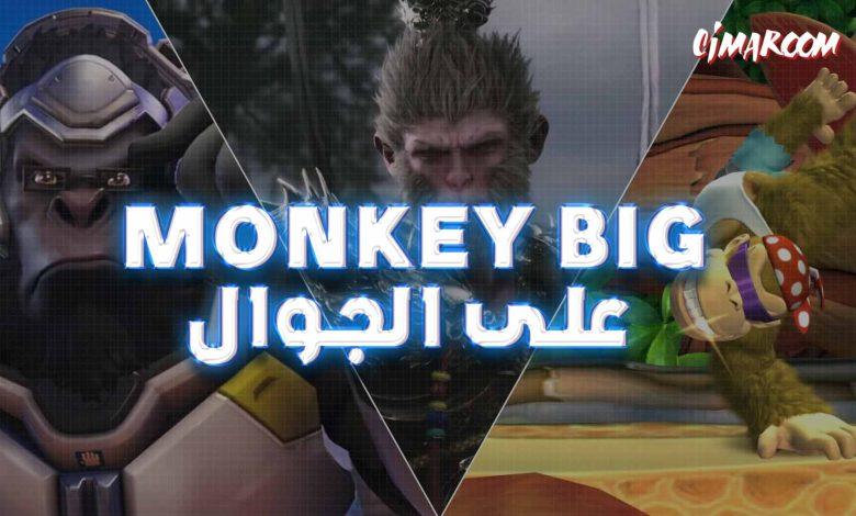 Monkey Big