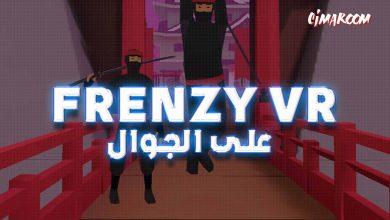Frenzy VR