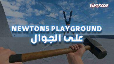 newtons playground