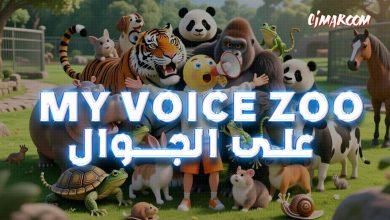 my voice zoo