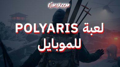 POLYARIS