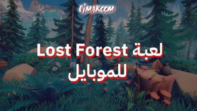 Lost Forest