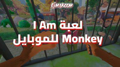 I Am Monkey